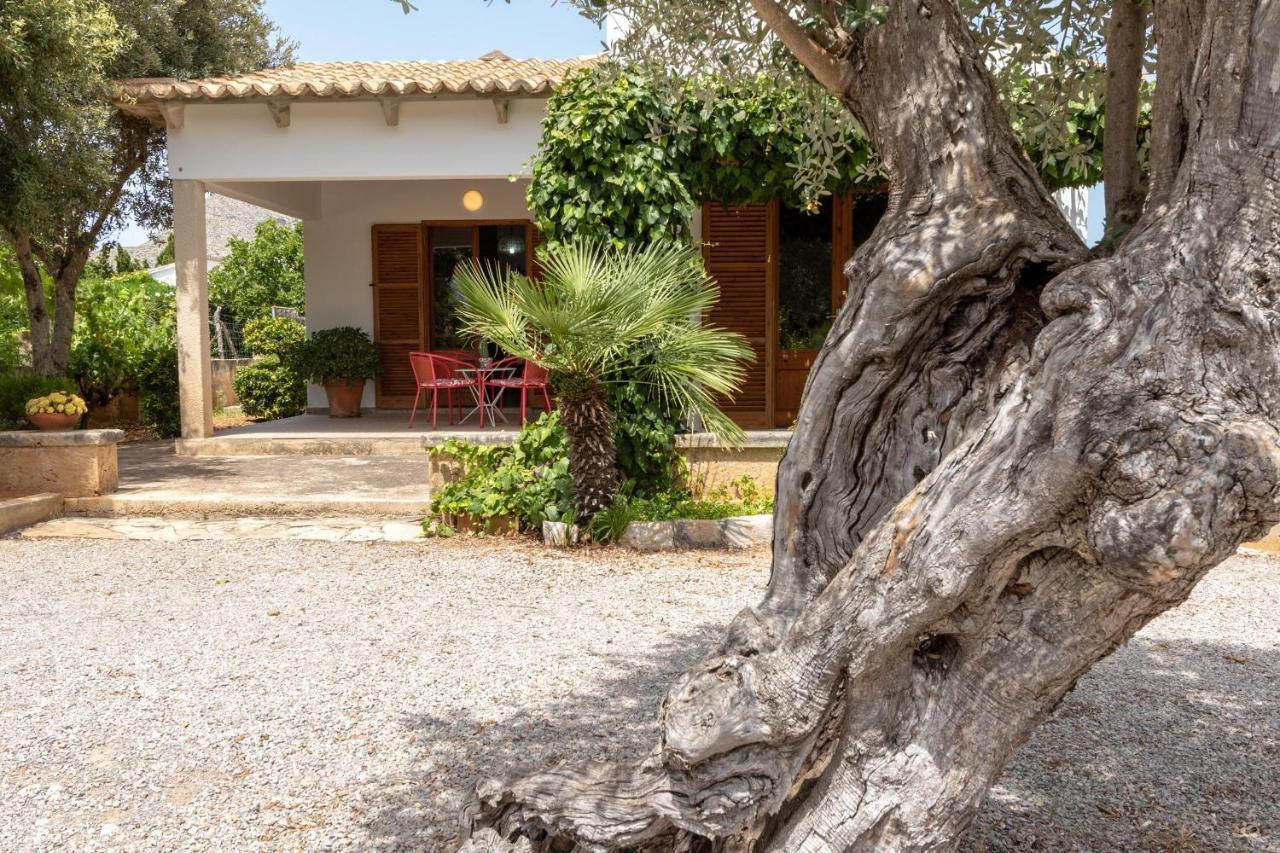 Villa Oliver Pollença Exteriör bild