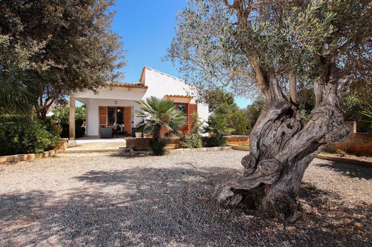 Villa Oliver Pollença Exteriör bild
